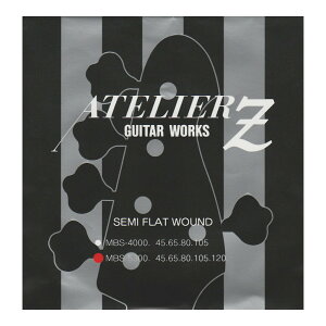 ATELIER Z MBS-5300TA SEMI FLAT BASS STRINGS 5GLx[X