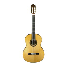 ARIA A-50S クラシックギター ギグケース付き