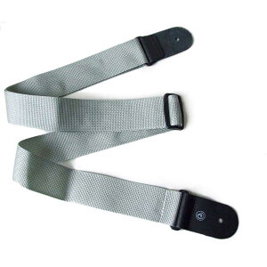 Planet Waves by D'Addario PWS105 POLY SILV �M�^�[�X�g���b�v