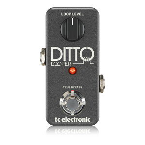 tc electronic Ditto Looper [p[