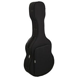 ARIA LFC-120 Black NVbNM^[pCgtH[P[X