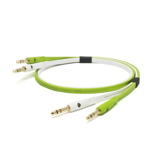 NEO by OYAIDE Elec d+ TRS class B 1.0m ���C���P�[�u��