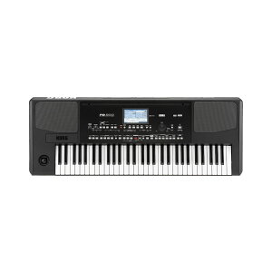 RO KORG Pa300 AW[EL[{[h