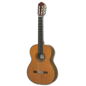 ASTURIAS CUSTOM C 650mmXP[^Cv NVbNM^[