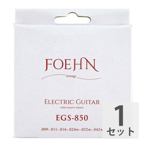 FOEHN EGS-850 Electric Guitar Strings Super Light GLM^[ 09-42