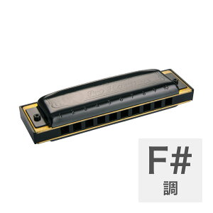 �z�[�i�[ �n�[���j�J F#�� HOHNER Pro Harp MS X 562/20MSX F# 10�z�[���n�[���j�J �u���[�X�n�[�v �u���[�X�n�[���j�J
