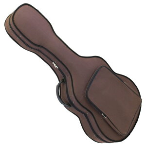 ARIA LFC-120 Brown NVbNM^[pCgtH[P[X