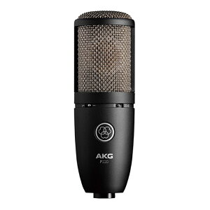 AKG �A�[�J�[�Q�[ P220 Project Studio Line �R���f���T�[�}�C�N���t�H��