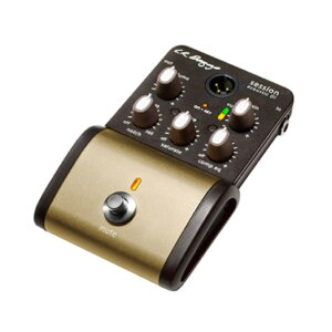 L.R.Baggs Session Acoustic D.I. AR[XeBbNM^[pvAv