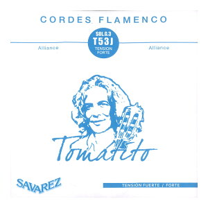 ToX  o 3 SAVAREZ T53J 3 g}eB[g tRM^[ o×5{ NVbNM^[