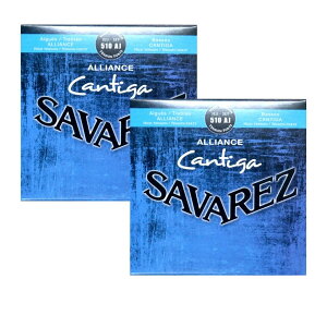 ToX  SAVAREZ 510 AJ HIGH TENSION AllianceCantiga NVbNM^[×2Zbg AAX JeB[K 510AJ