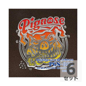 Pignose PGS-800 �s�O�m�[�Y�M�^�[��p��×6�Z�b�g