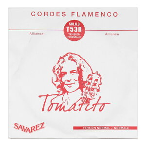 ToX  o 3 SAVAREZ T53R 3 g}eB[g tRM^[ o×5{ NVbNM^[