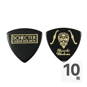 SCHECTER SPA-UBU10 BK ELLEGARDEN / Nothing's Carved In Stone `^ꃂf M^[sbN×10