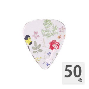 IBANEZ CP14H-P3 Kaleido Pick 1.0mm M^[sbN×50