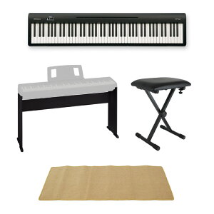���[�����h ROLAND FP-10 BK �d�q�s�A�m �|�[�^�u���s�A�m �����X�^���h X�^�֎q �s�A�m�}�b�g(�N���[��)�t���Z�b�g