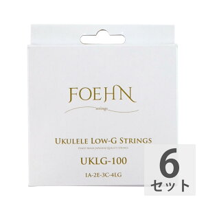 FOEHN UKLG-100 Low-G \vm/RT[gp Low-G EN×6Zbg