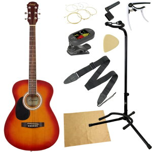 LEGEND FG-15 LH CS pAR[XeBbNM^[ 9_ S҃Zbg