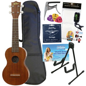 Famous FS-1G \vmEN S҃Zbg