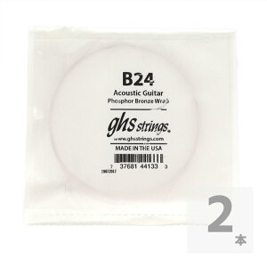 GHS B24 Singles Phosphor Bronze .024 AR[XeBbNM^[p o×2{