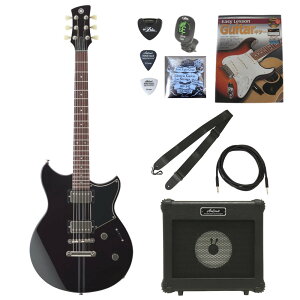 }n YAMAHA REVSTAR RSE20 BL GLM^[ Avt S҃Zbg