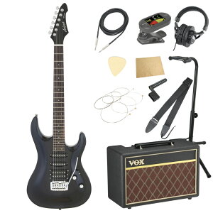 AriaProII MAC-STD Metallic Black GLM^[ VOXAvt 11_ S҃Zbg
