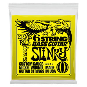 A[j[{[ ERNIE BALL 2837 6-STRING BASS GUITAR 6x[XM^[×3Zbg