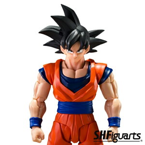 S.H.Figuarts ����� �S�D�����T�C���l �o���_�C BANDAI �h���S���{�[��Z �Z���� �t�B�M���A�[�c ����� ���t�B�M���A Dynamic-Movable Shoulder System �V�K���` 4573102697837