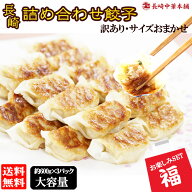 【半額 限定+100 スーパーセール】餃子 詰め合わせ餃子 福袋 ぎょうざ 冷凍 長崎グルメ「工場直売 訳あり…