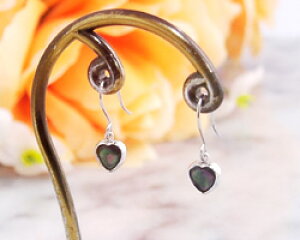 O[VFiLj~XeBbN n[g tbNsAX K10zCgS[h(K10WG) fB[X p dp/I[_[i@30Ԕ[