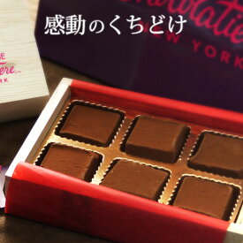 【2026年の販売は2月1日スタート】フィフスアベニュー　チョコレート 5th Avenue Chocolatiere 生チョコ レギュラー シャンパン ストロベリー 6個入り クール便 バレンタイン ホワイトデー お返し 友チョコ ギフト 2026