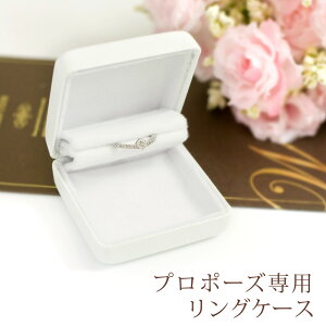 OP[X v|[Yp voɎcTvCYȃv|[Y𐬌ƂẴOiwցjP[X zCg  GQ[WOiw/wj P[X v|[Y