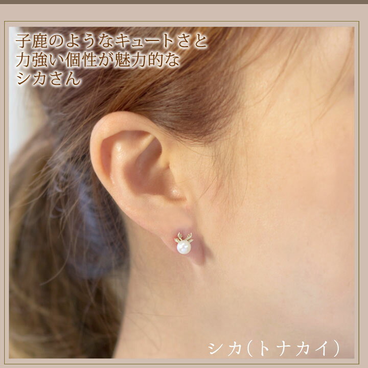 楽天市場】【片耳販売】アコヤ真珠/パール （ネコ/猫/ねこ/うさぎ/クマ 