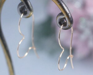 sAX K10sNS[h K10PG tbNsAX t[vsAX n n̂ fB[X p dpu^Cj[En[gv