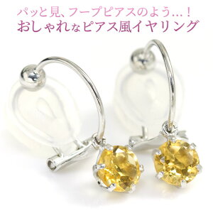 sAX݂ȃCO K10zCgS[h 10k fB[X mz[sAX ɂȂNbv 11a Vg 5mm VR sAX CAO puAr[ivy