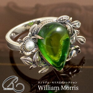 R EBA X Rvg O[Ao[  O w RnN VR AeB[N WG[ ANZT[ Ȃł  t[`[t av[g  ` 