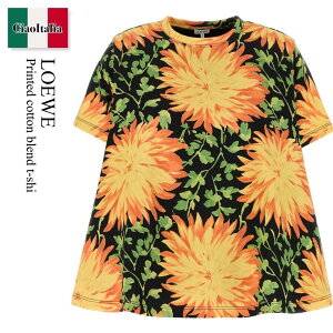 �y���ʌ���E�݌Ɍ���E�����ҏ����I�z ���G�x / Loewe Printed Cotton Blend T-Shi / S540Y22X72 / S540Y22X72 MULTICOLOR / S540Y22X72MULTICOLOR / T�V���c�E�J�b�g�\�[