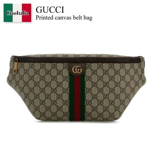 �y���ʌ���E�݌Ɍ���E�����ҏ����I�z �O�b�` / ���΂� / �J�o�� / Gucci Printed Canvas Belt Bag / 839104 FAEOF / 839104 FAEOF 9745 / 839104FAEOF / 839104FAEOF 9745 / 839104FAEOF9745 / �V�����_�[�o�b�O