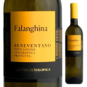 \p[J t@M[i C C^A yi Jp[jA Jp[j h 750ml `IZNg