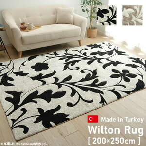 gR J[rOH O}bg 200×250cm 3 3 J[ybg O EBgD zbgJ[ybgΉ g[Ή   g Mx O Mbx k H~ ԕ {^