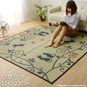 RpNg[  O lR 176×230cm Lbg L a lR a_ ˂  O}bg 176×230 2.5 2.5   VRf J[ybg }bg R hL ėp hJr \