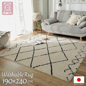 @Ő􂦂 Y ~bNXJ[ bJ O}bg 190×240cm VM[ { 190×240 3 3 O OK @OK 􂦂 CX^f  k ܂肽  i` 