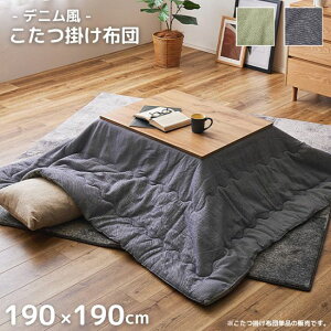 fj zc 100 190×190cm JWA Vv 190×190 n k C ubN AJ |zc   킢 lCr[ O[ ` Rbg 