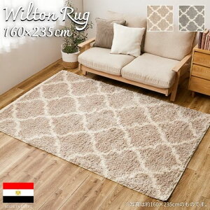 GWvg EBgD bJfUC O}bg 160×235cm 160×235 VM[ VM[O O J[ybg EBgD bJ _ IG^   2.5 2.5