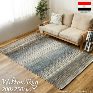 GWvg EBgD Of[VfUC O}bg 200×250cm 200×250 _ ݊ O J[ybg EBgD VbN   3 3 g H~ k zbgJ[