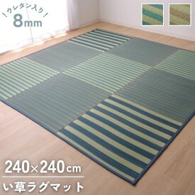 撥水加工 ウレタン入り 格子柄 い草 ラグ 240×240cm ウレタン ふっくら い草ラグ いぐさ 撥水 ラグマット 240×240 4.5畳 4.5帖 お洒落 おしゃれ 和モダン モダン カーペット マット 抗菌 防臭 撥水 コンパクト コンパクト収納 折り畳み 正方形