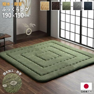 ɂӂ  h VFj[ O}bg 190×190cm 40mm  2 2 190×190 ӂӂ J[ybg O zbgJ[ybgΉ g[Ή   k H~ Vv n ~ 