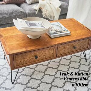 `[N^ Z^[e[u 100cm s50cm 40cm o 2t [ VR `[N ^  ِi rattan ؐ e[u [e[u 100 rOe[u AWA _ k 