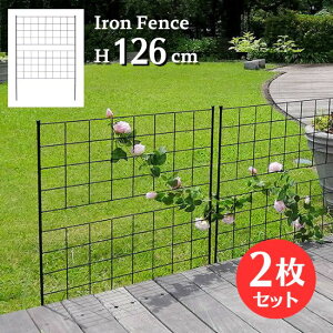 アイアン フェンス 2段 高さ126cm 2枚セット 花壇 園芸 ロータイプ 低い トレリス ラティス 格子 オベリスク 目隠し 屋外 仕切り 囲い 柵 トレリスフェンス ガード ガーデニング フラワーガーデ