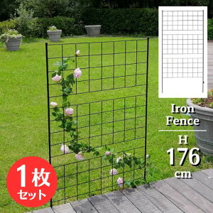 ACA tFX 3i 176cm 1Zbg Ԓd | nC^Cv gX eBX iq IxXN ډB O d؂ ͂  gXtFX K[h K[fjO t[K[f G